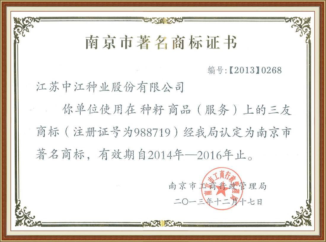 南京市著(zhù)名商標證書(shū)