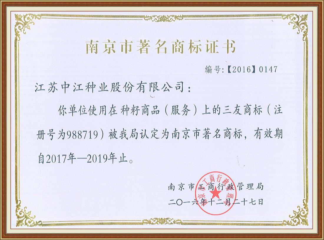 2016年度南京市著(zhù)名商標證書(shū)